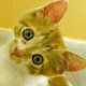 Sunshine39 sin avatar