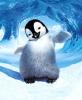 happyfeet| sin avatar