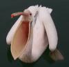 Pelikan sin avatar